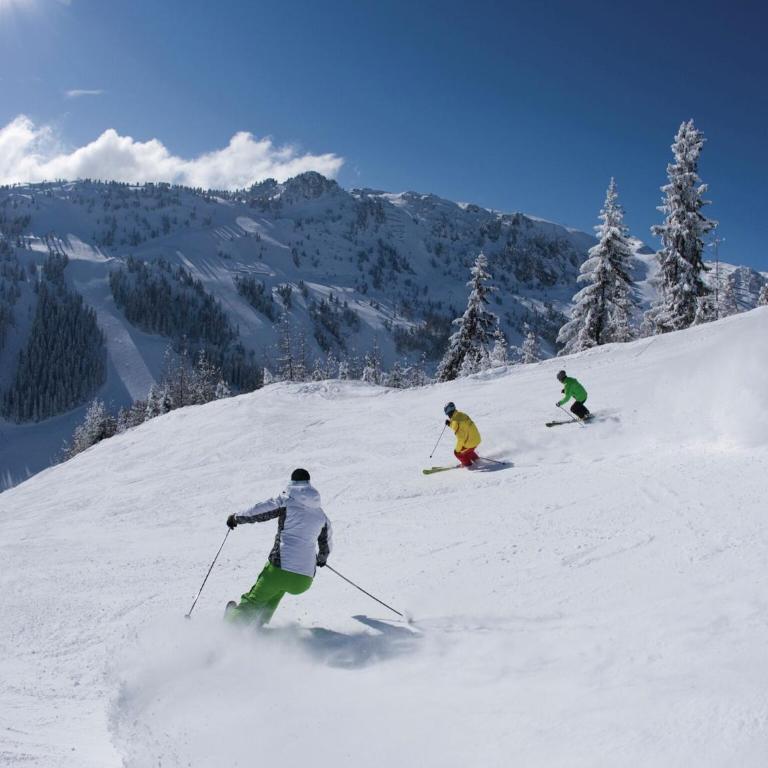 Holiday Home Zell am Ziller Ski Lift - Ferienhaus mit 5 Schlafzimmern - 30