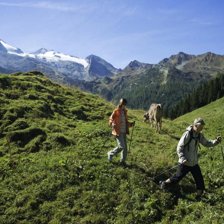 Holiday Home Zell am Ziller Ski Lift - Ferienhaus mit 5 Schlafzimmern - 21