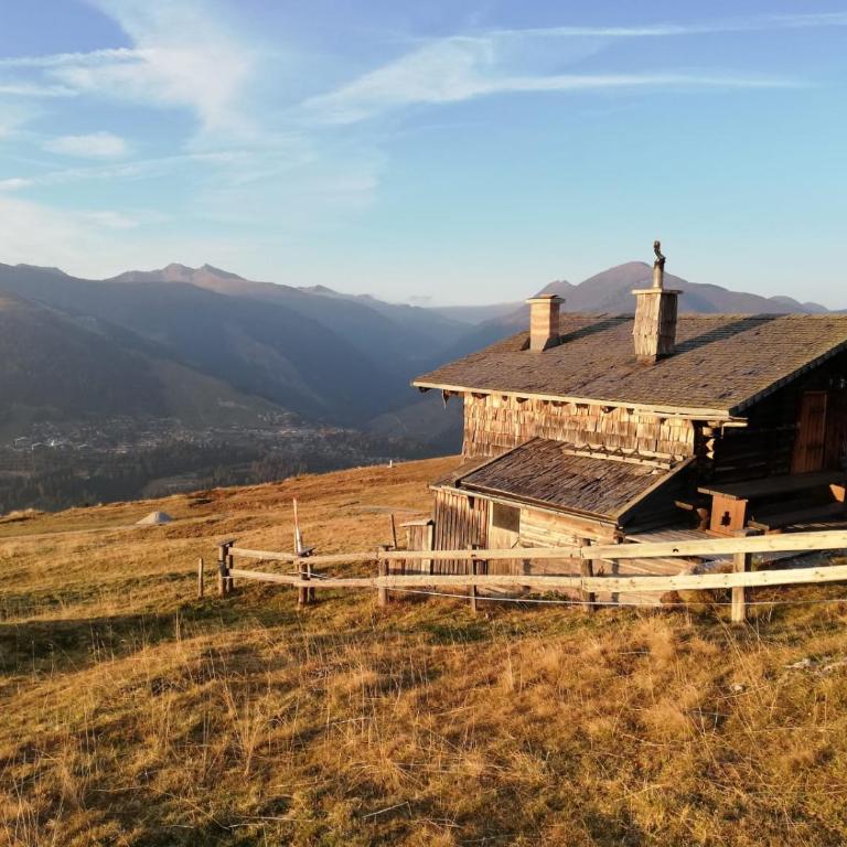 Mahderhütte - Ferienhaus - 14