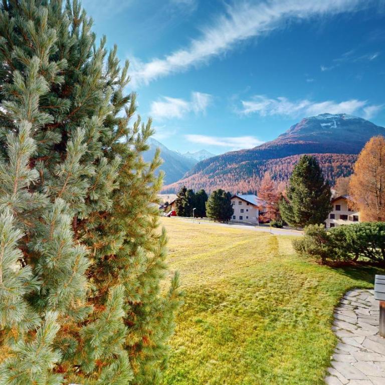 Abitaziun Charrers - Pontresina - Apartment mit Blick auf die Berge - 30