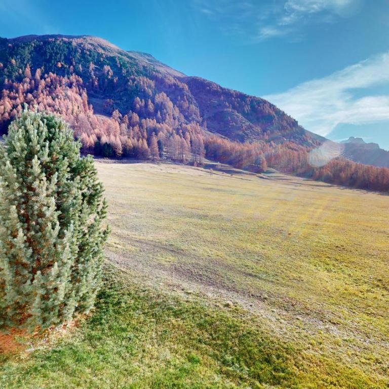 Abitaziun Charrers - Pontresina - Apartment mit Blick auf die Berge - 40