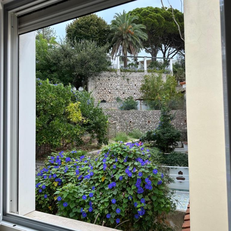 Capri Joy Apartments - Casa con 2 Camere da Letto - 32