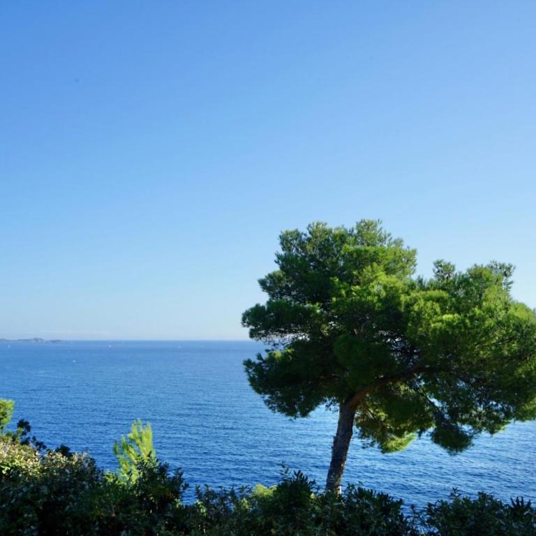 Grande villa familiale vue mer avec piscine - domaine privé à St Cyr sur Mer - Villa avec Piscine Privée - 87