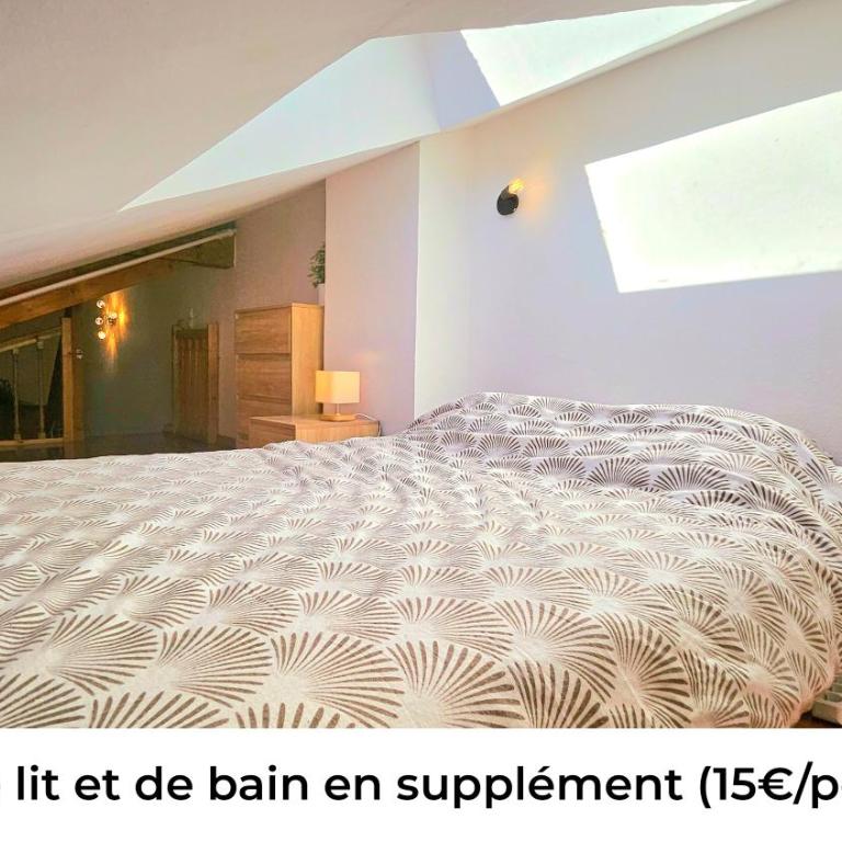 f2 VUE INCROYABLe sur lac avec jardin avec balnéo et 400m centre - Appartement - 5