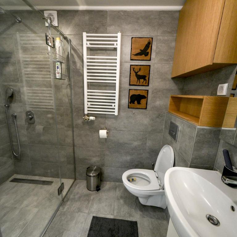 Дивчигошће ДУПЛЕКС за 7 особа - Dupleks Apartman - 19