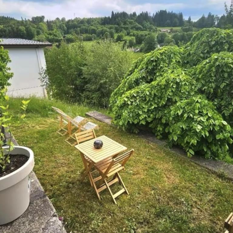 f2 VUE INCROYABLe sur lac avec jardin avec balnéo et 400m centre - Appartement - 13