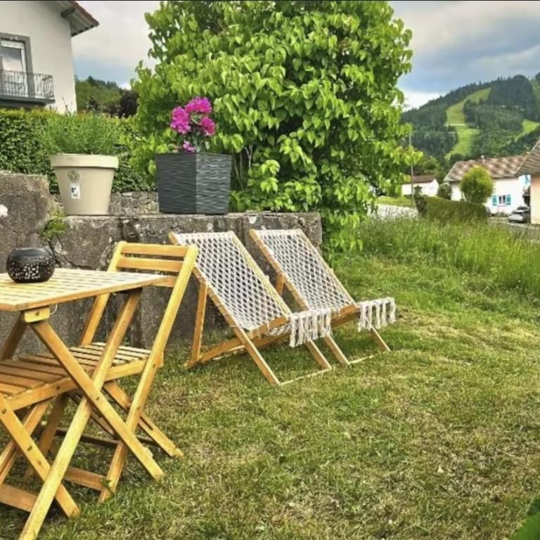 f2 VUE INCROYABLe sur lac avec jardin avec balnéo et 400m centre - Appartement - 20