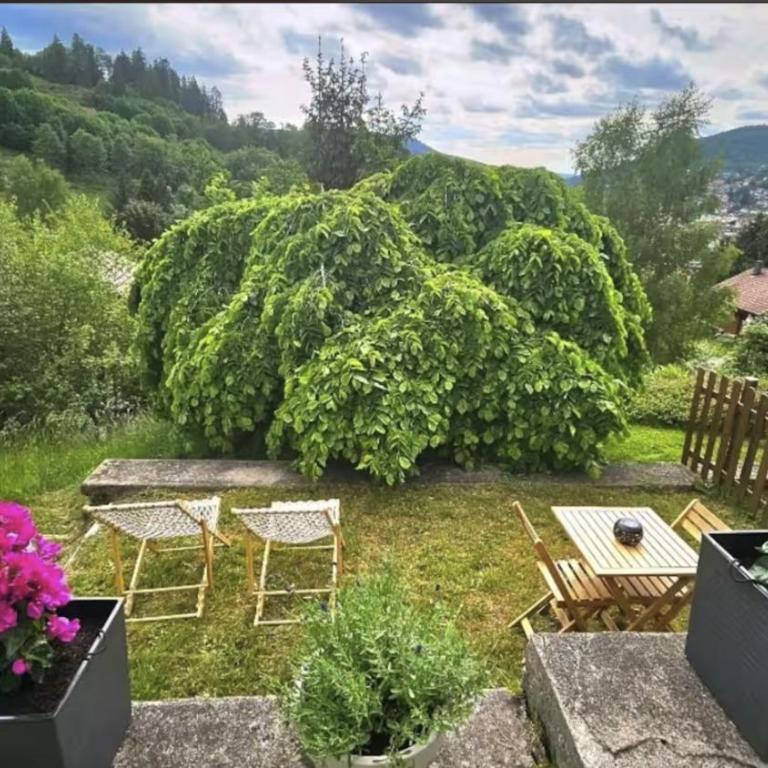 f2 VUE INCROYABLe sur lac avec jardin avec balnéo et 400m centre - Appartement - 21