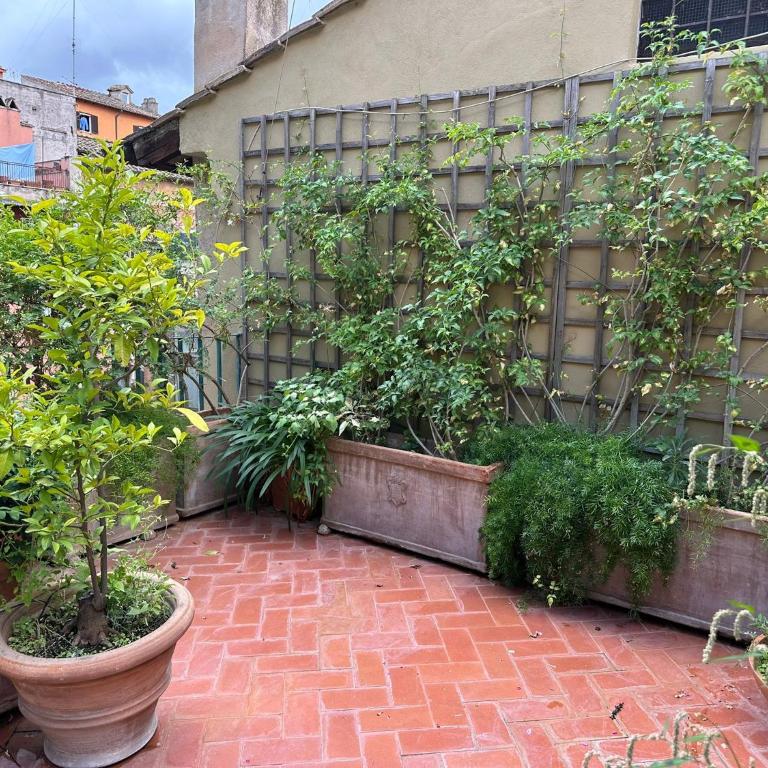 Terrazza Minerva - Appartamento con 2 Camere da Letto - 8