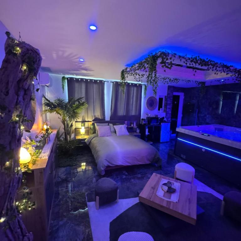 Suite Secret Emeraude - Appartement 1 Chambre - 12
