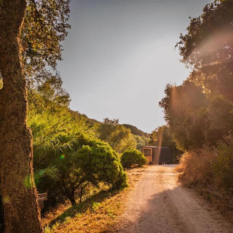 Lodge Grand Confort - Salle de bain italienne - Au coeur du Vignoble à 10 min de la Mer - Ferienhaus - 19
