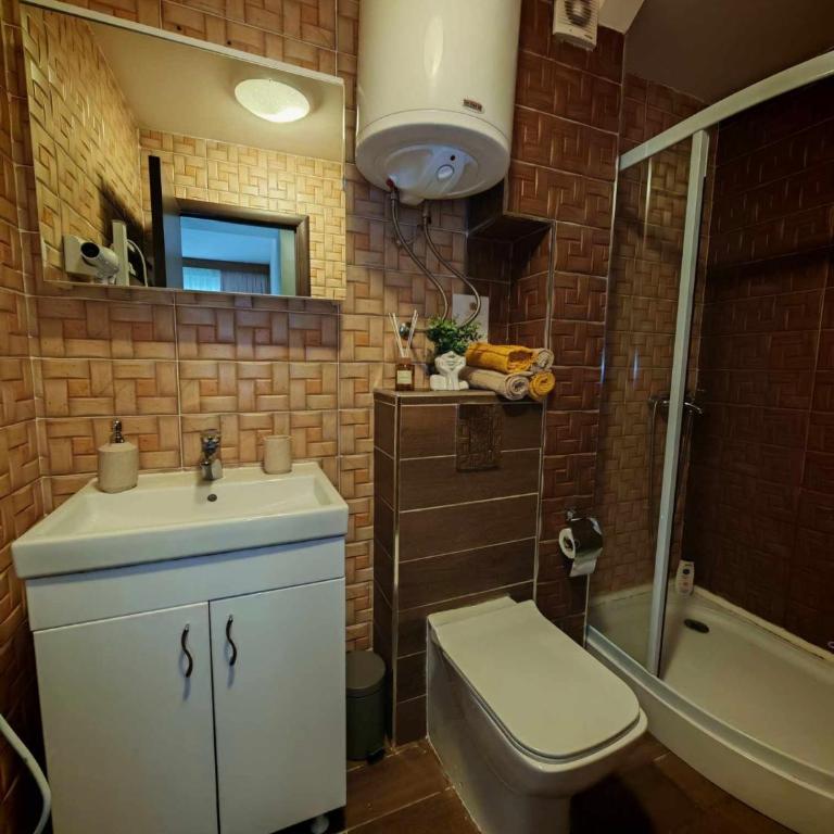 Magic Apartman Kop - Kraljevi Cardaci - One-Bedroom Apartment - 16