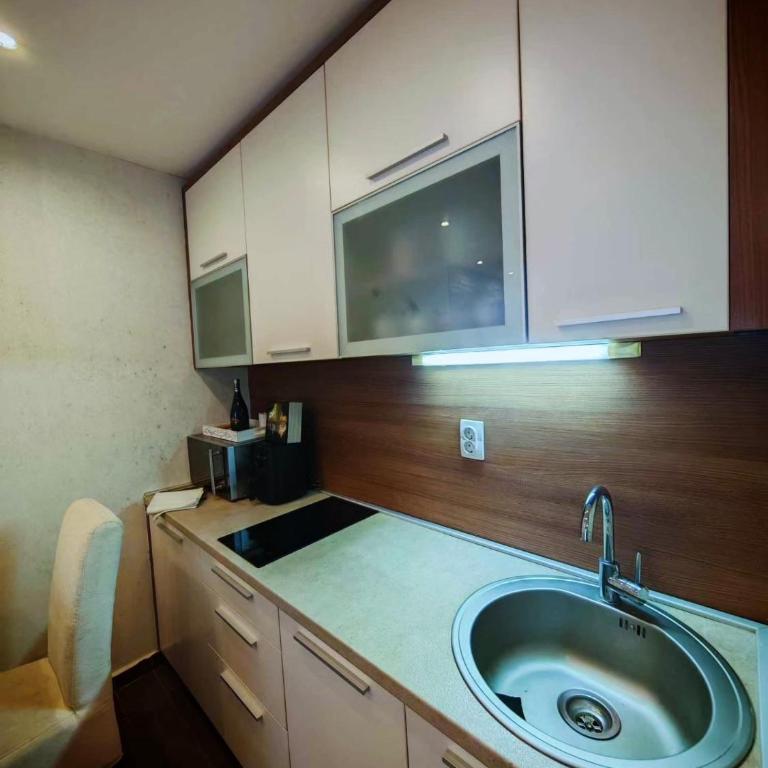 Magic Apartman Kop - Kraljevi Cardaci - Apartman sa 1 Spavaćom Sobom - 6