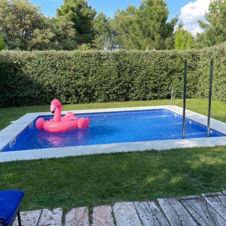 Hotel Boutique Pinar by Bossh! Hotels - Suite Junior con piscina privada - 4