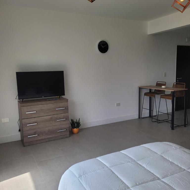 Studio Ezeiza Aeropuerto 204 - Apartamento Estudio - 1 cama doble - 3