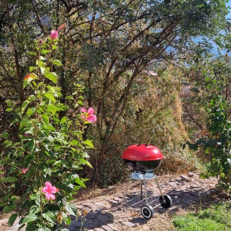 Cottage in nature in Sacred Valley with mountain views - One-Bedroom House - 32