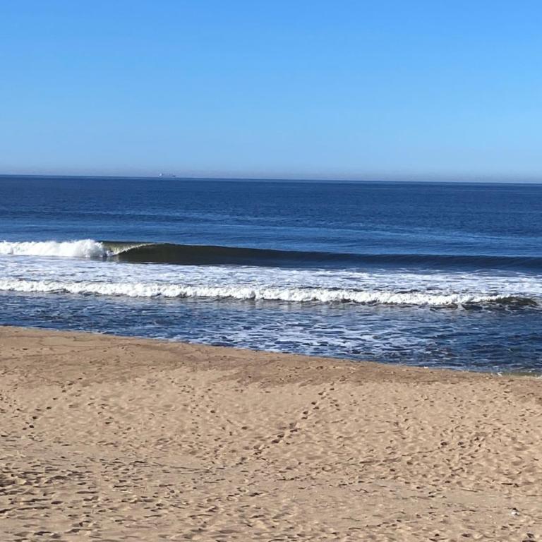 Surf Camp - One-Bedroom House - 7