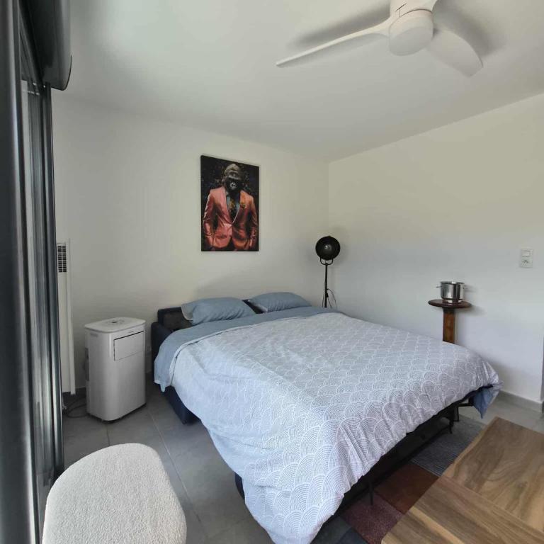 Confortable appartement rez de jardin- terrasse - parking - Apartamento de 1 dormitorio - 46