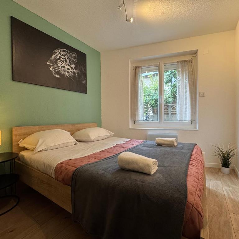 Cosy F2 , Marx Dormoy A WIFI - Appartement 1 Chambre - 7