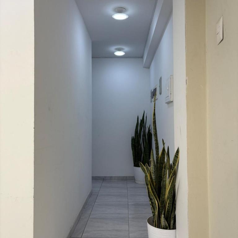 Mini Departamento - One-Bedroom Apartment - 6