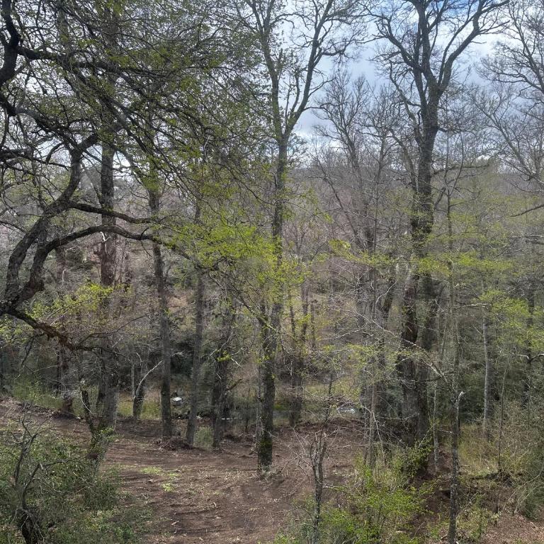 ANDES CABINS - Tierra del Sol - Dúplex - 8