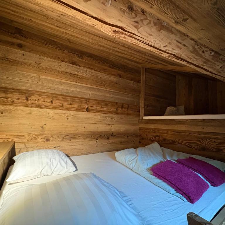 Chalet au cœur de la haute Tarentaise - Chalet Supérieur - 35
