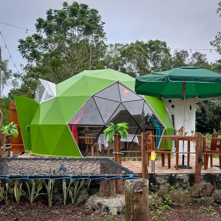 The Tortoise Dome Lodge - Double Room - 1