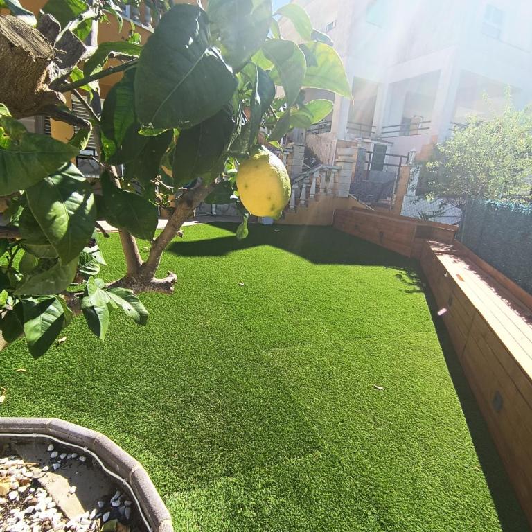 Family Suite with Terrace Garden - Apartamento de 2 dormitorios - 4