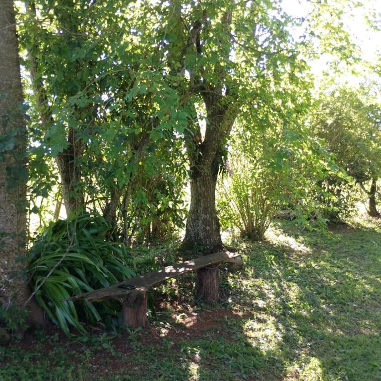 Casa de la Guayubira - Casa de 3 dormitorios - 44