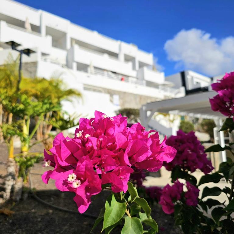 Vista Alegre - Apartamento de 1 dormitorio con balcón - 22