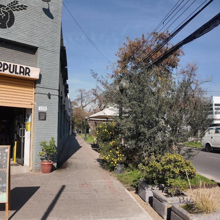 Depto Bello y fulla calidez en Barrio Italia - Apartamento - 35