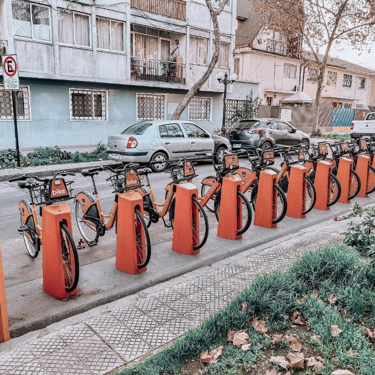 Depto Bello y fulla calidez en Barrio Italia - Apartamento - 37