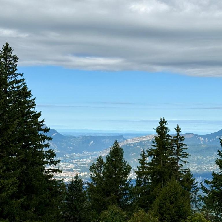 Le Petit Chalet, charme des Sommets - Apartment mit 2 Schlafzimmern und Bergblick - 20