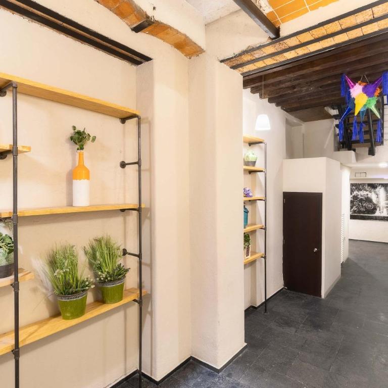 102 Centro 2Bdrm 2bath apt AC Rooftop - Apartment - 33