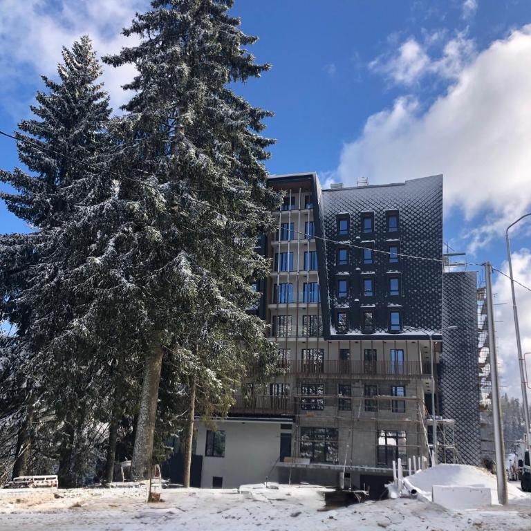 BiancaNeve Jahorina - Apartman sa 1 Spavaćom Sobom - 38
