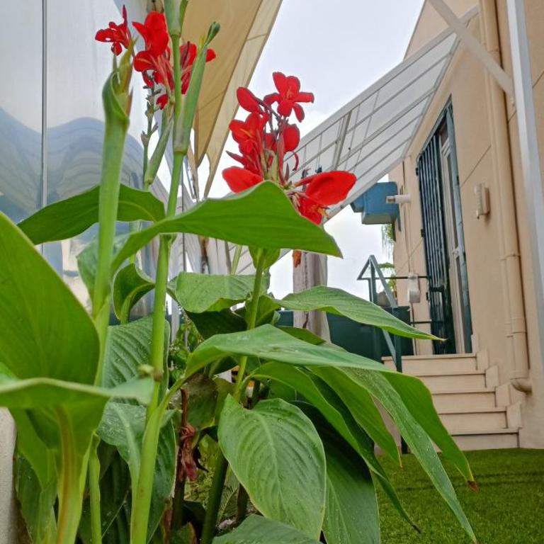 Suite solarium Km21 - Apartamento de 1 dormitorio - 28