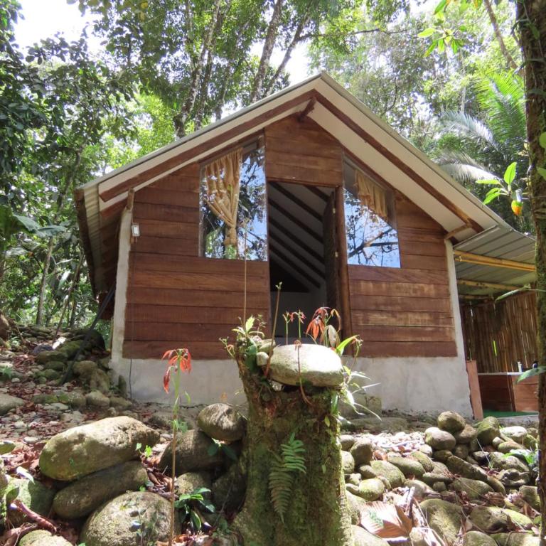 Tangara Real, Posada romántica entre bosque y rio - Double Room with Private Bathroom - 1