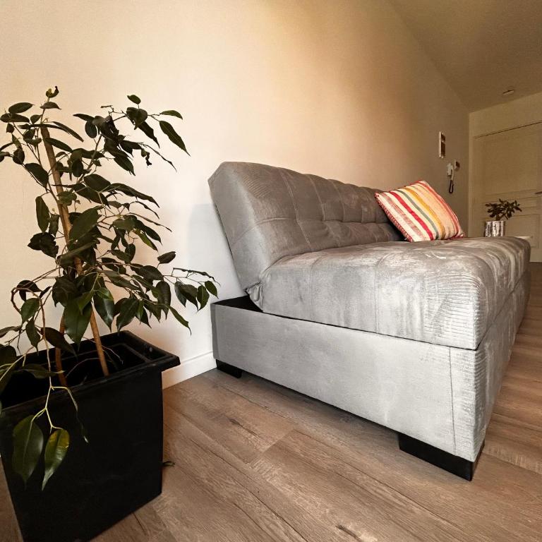 La golondrina - One-Bedroom Apartment - 14
