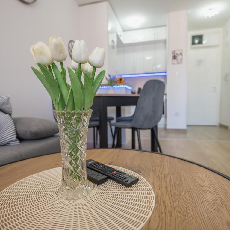 Apartman TRI KRALJA 3 - Apartman sa 1 Spavaćom Sobom - 20