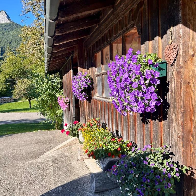 Ferienwohnung Bleckwand am Buchberghof - Appartamento con 1 Camera da Letto - 13