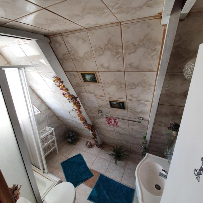Tropical Cabaña B - One-Bedroom House - 6