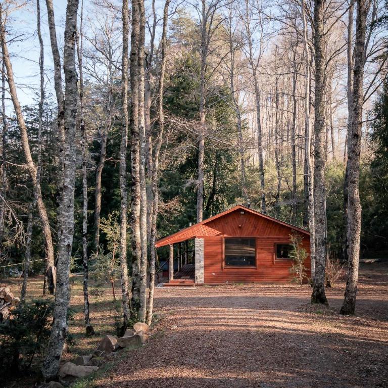 Lodge Rio Encantado, Pucon - Casa de 2 dormitorios - 6