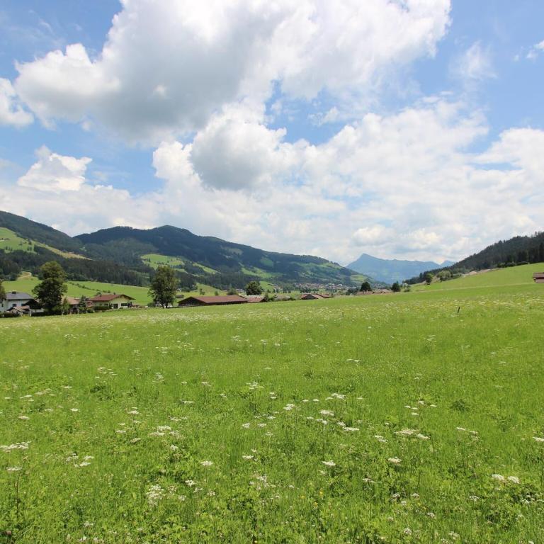 Farmhouse in Hopfgarten near SkiWelt - Ferienhaus mit 4 Zimmern - 31