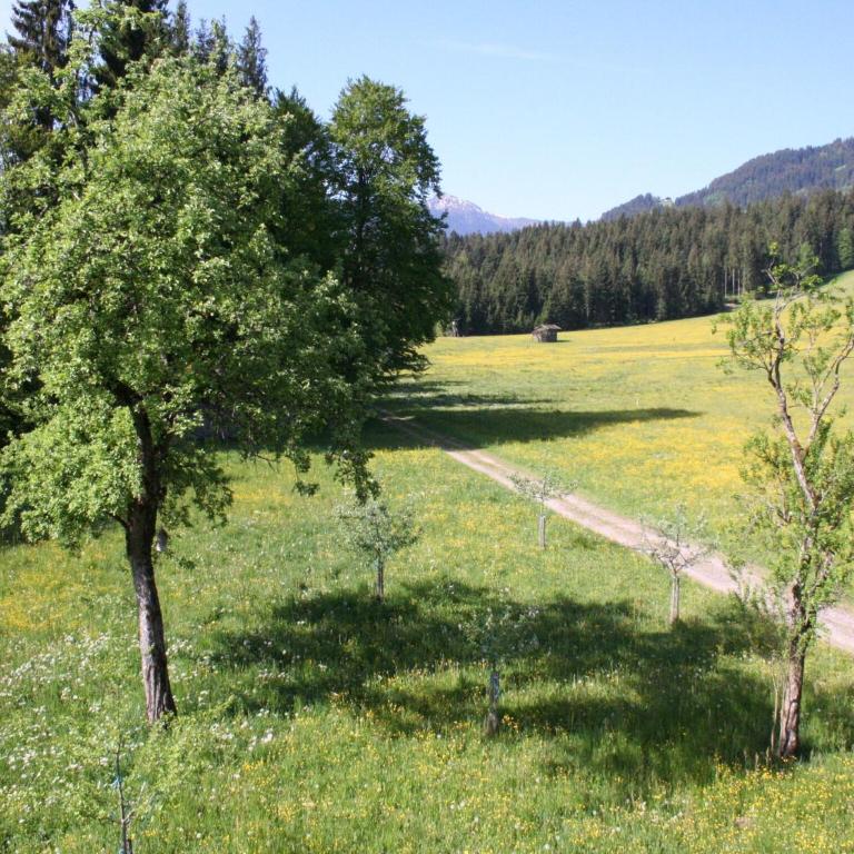 Farmhouse in Hopfgarten near SkiWelt - Ferienhaus mit 4 Zimmern - 4