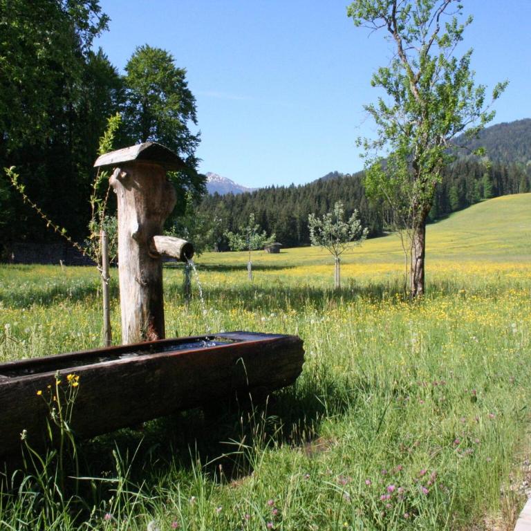Farmhouse in Hopfgarten near SkiWelt - Ferienhaus mit 4 Zimmern - 28