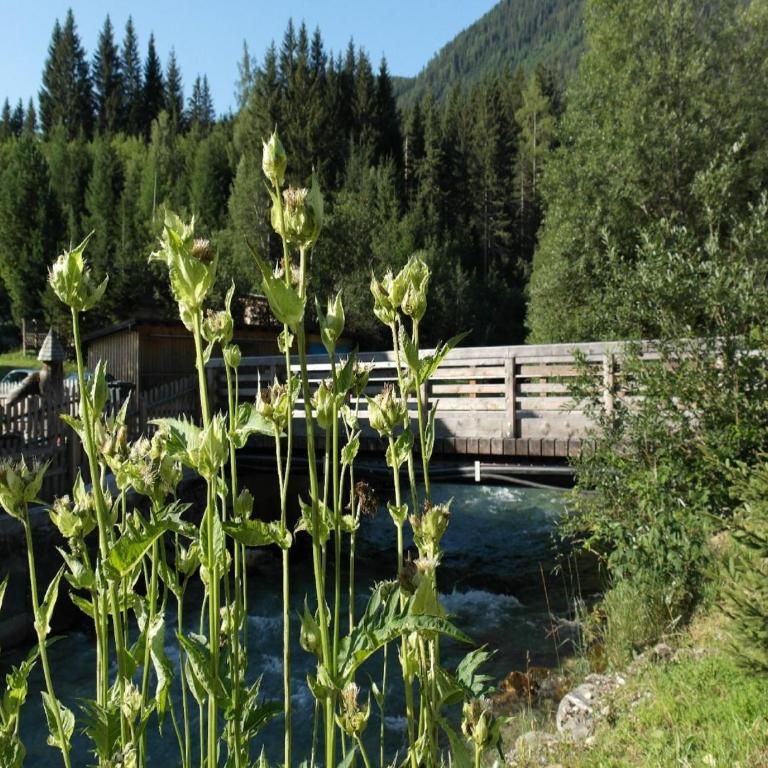 Chalet in Mauterndorf near Ski Lift - Ferienhaus mit 5 Schlafzimmern - 24