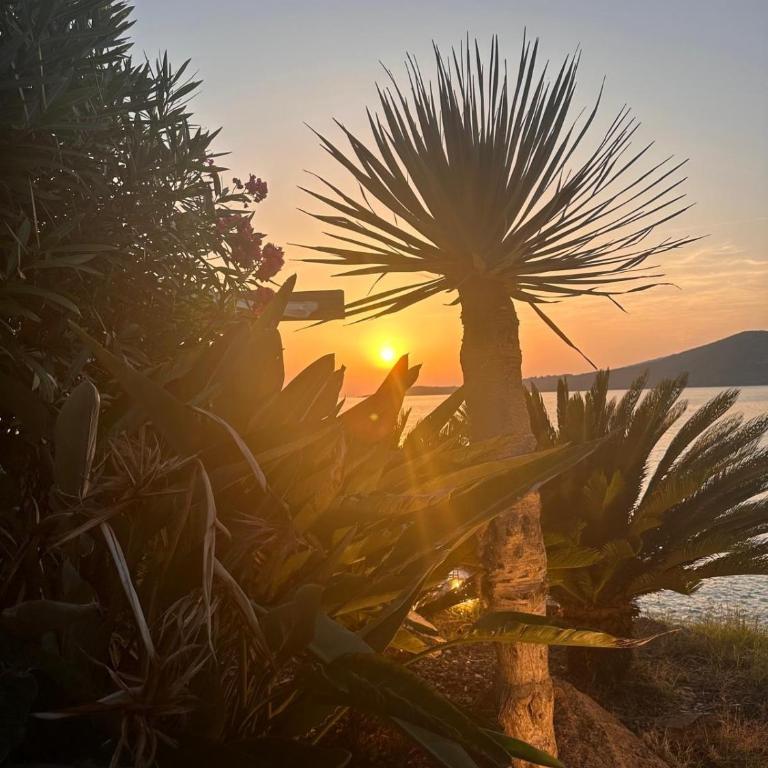 Bleu Corse, entre mer et soleil - One-Bedroom Apartment with Sea View - 33