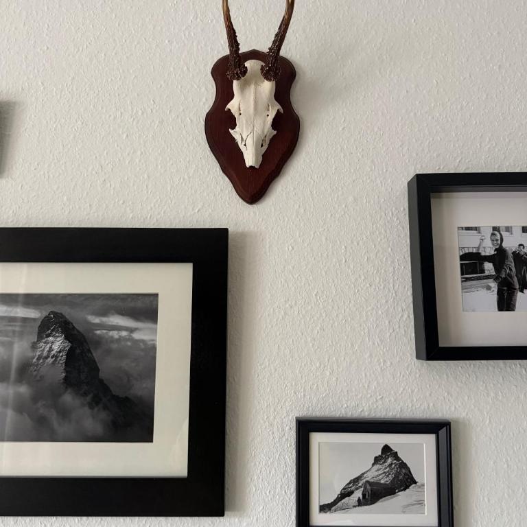Apartment Snowball, Modern, cosy, Matterhorn views - Apartamento de 2 dormitorios - 23