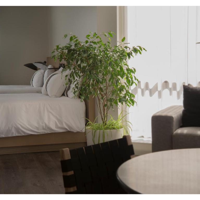 Casa Grande Suites - Habitación Doble de lujo - 2 camas - 3