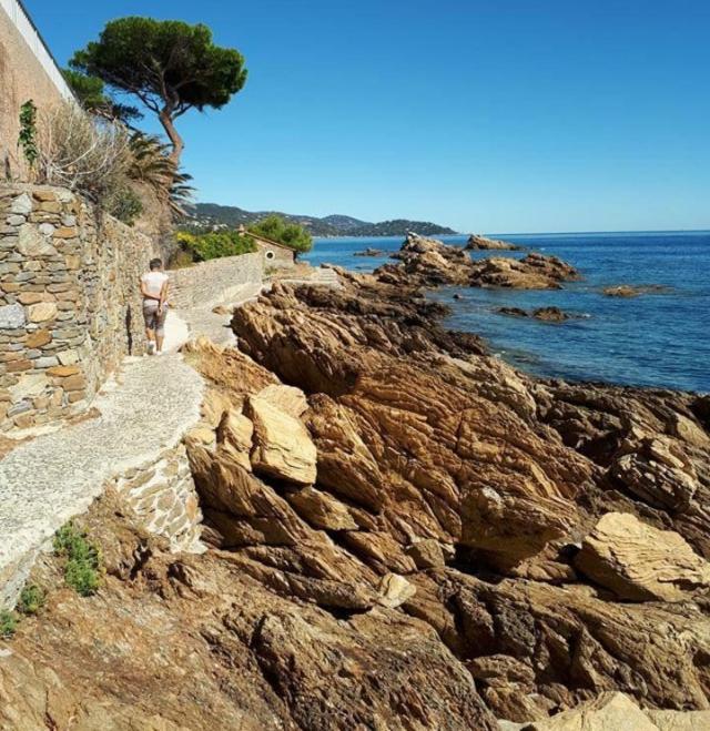 Le lavandou saint Clair le verger des Naiades - One-Bedroom Apartment - 15
